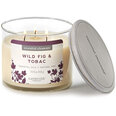 Candle-Lite kvapioji žvakė su dangteliu Wild Fig & Tobac, 418 g