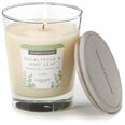 Candle-Lite kvapioji žvakė su dangteliu Eucalyptus & Mint Leaf, 255 g