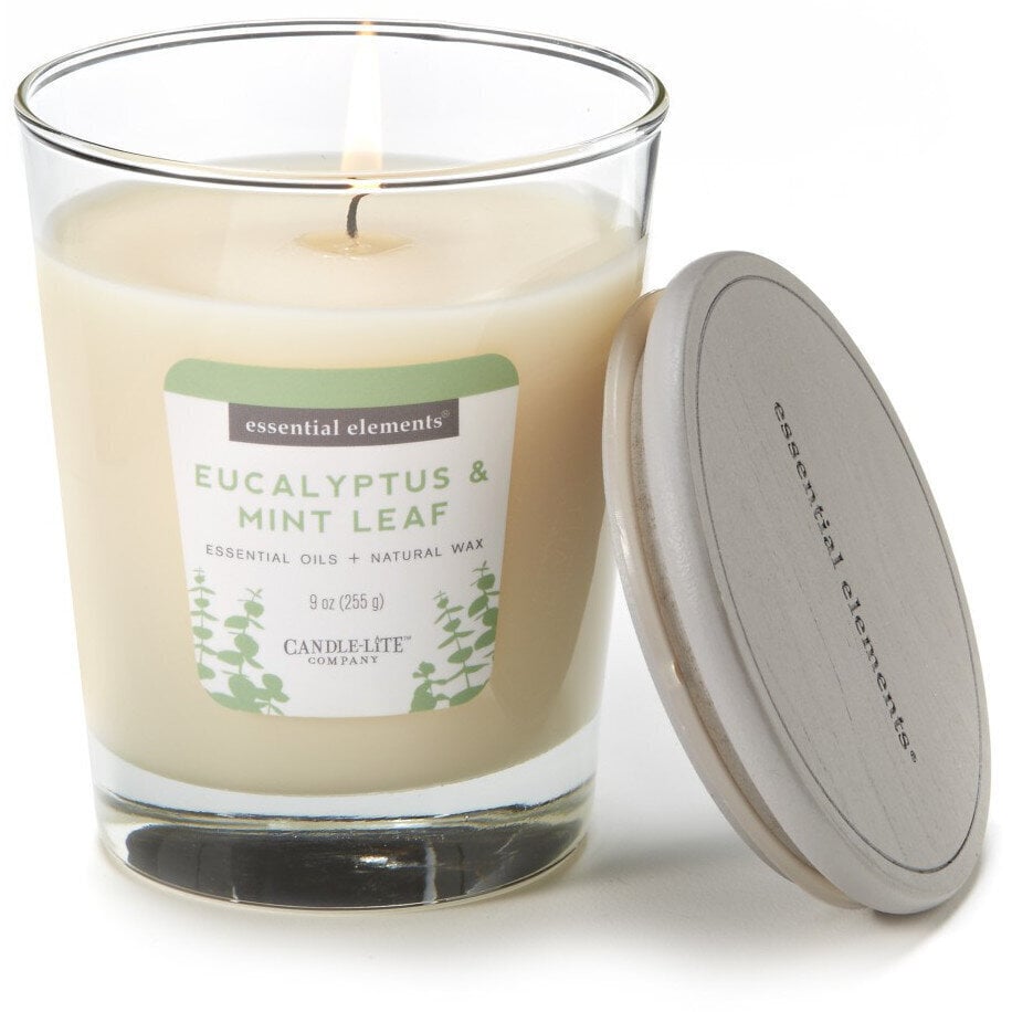 Candle-Lite kvapioji žvakė su dangteliu Eucalyptus & Mint Leaf, 255 g kaina ir informacija | Žvakės, Žvakidės | pigu.lt