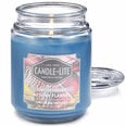 Candle-Lite kvapioji žvakė su dangteliu Autumn Flannel, 510 g
