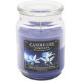 Candle-Lite ароматическая свеча с крышечкой Exotic Midnight Petals, 510 г