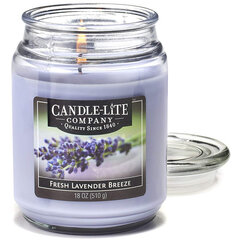 Candle-lite kvapioji žvakė Everyday Fresh Lavender Breeze kaina ir informacija | Žvakės, Žvakidės | pigu.lt