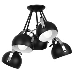 Luminex потолочный светильник Ovo цена и информация | Потолочные светильники | pigu.lt
