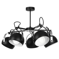Luminex подвесной светильник Ovo цена и информация | Люстры | pigu.lt