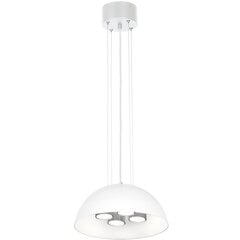 Luminex подвесной светильник Slot цена и информация | Люстры | pigu.lt