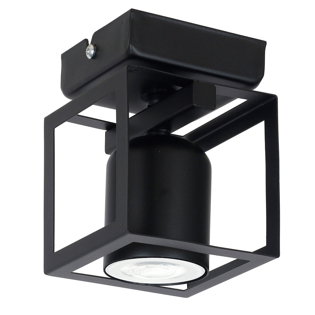 Luminex lubinis šviestuvas Wario kaina ir informacija | Lubiniai šviestuvai | pigu.lt