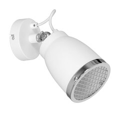 Luminex потолочный светильник Aila цена и информация | Потолочные светильники | pigu.lt