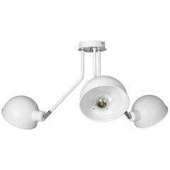 Luminex потолочный светильник Devin цена и информация | Потолочные светильники | pigu.lt