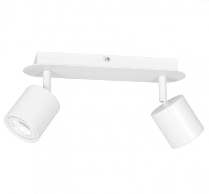 Luminex lubinis šviestuvas Demia kaina ir informacija | Lubiniai šviestuvai | pigu.lt