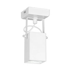 Luminex потолочный светильник Arm цена и информация | Потолочные светильники | pigu.lt