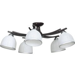 Luminex потолочный светильник Avia цена и информация | Потолочные светильники | pigu.lt