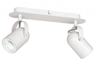 Luminex потолочный светильник Amo цена и информация | Потолочные светильники | pigu.lt