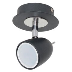 Luminex потолочный светильник Taylor цена и информация | Потолочные светильники | pigu.lt