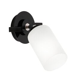 Luminex настенный светильник Tokio цена и информация | Настенные светильники | pigu.lt