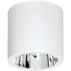 Luminex потолочный светильник Downlight Round цена и информация | Потолочные светильники | pigu.lt