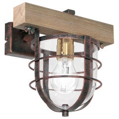Luminex настенный светильник Ander цена и информация | Настенные светильники | pigu.lt