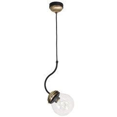 Luminex pakabinamas šviestuvas Natan kaina ir informacija | Pakabinami šviestuvai | pigu.lt