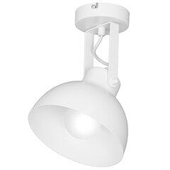 Luminex потолочный светильник Einar цена и информация | Потолочные светильники | pigu.lt