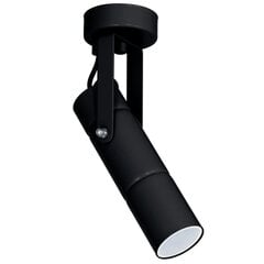 Luminex lubinis šviestuvas Implode kaina ir informacija | Lubiniai šviestuvai | pigu.lt