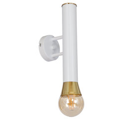 Luminex настенный светильник Lunae цена и информация | Настенные светильники | pigu.lt