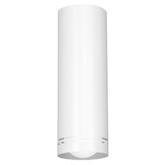 Luminex настенный светильник Insert Round 300 цена и информация | Настенные светильники | pigu.lt