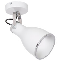 Luminex настенный светильник Bjorn цена и информация | Настенные светильники | pigu.lt