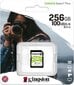 Kingston SDS2/256GB kaina ir informacija | Atminties kortelės fotoaparatams, kameroms | pigu.lt