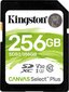 Kingston SDS2/256GB цена и информация | Atminties kortelės fotoaparatams, kameroms | pigu.lt