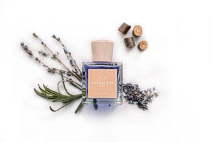 Домашний аромат Carbaline Lavender, 250мл цена и информация | Ароматы для дома | pigu.lt