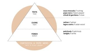 Домашний аромат Carbaline Corteccia & Pepe Nero, 100мл цена и информация | Ароматы для дома | pigu.lt