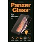 Apsauginis stiklas PanzerGlass skirtas iPhone Xs Max цена и информация | Telefono dėklai | pigu.lt