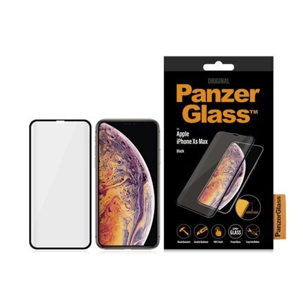 Apsauginis stiklas PanzerGlass skirtas iPhone Xs Max цена и информация | Telefono dėklai | pigu.lt