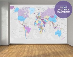 Fototapetai - Pasaulio žemėlapis. Pilkas kaina ir informacija | Fototapetai | pigu.lt