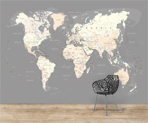 Fototapetai - Pasaulio žemėlapis. Pilkas 2 kaina ir informacija | Fototapetai | pigu.lt