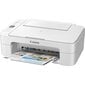 Canon TS3351 MFP Wi-Fi Printer / Scanner / Copier inkjet color цена и информация | Spausdintuvai | pigu.lt