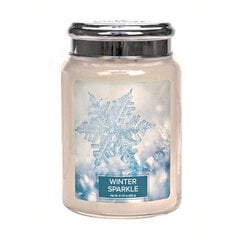 Ароматическая свеча Village Candle Winter Sparkle, 602 г цена и информация | Подсвечники, свечи | pigu.lt