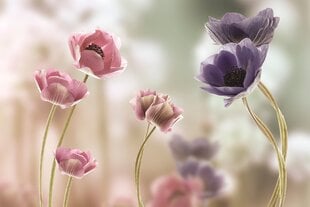 Fototapetai Gėlių magija kaina ir informacija | Fototapetai | pigu.lt