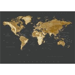 Fototapetai Auksinis pasaulio žemėlapis цена и информация | Фотообои | pigu.lt