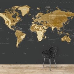 Fototapetai Auksinis pasaulio žemėlapis kaina ir informacija | Fototapetai | pigu.lt