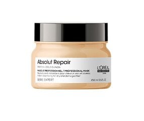 Восстанавливающая маска для волос L'Oreal Professionnel Absolut Repair Gold 250 мл цена и информация | Средства для укрепления волос | pigu.lt