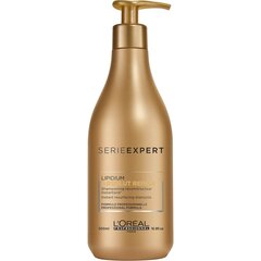 Восстанавливающий шампунь для волос L'Oreal Professionnel Absolut Repair Gold 500 мл цена и информация | Шампуни | pigu.lt