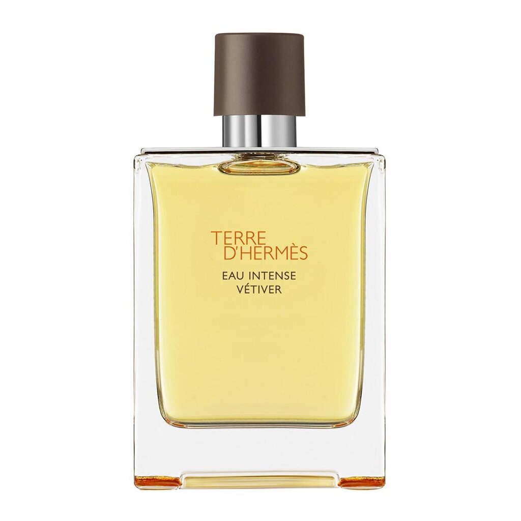 Kvapusis vanduo Hermes Terre D'Hermes Eau Intense Vetiver EDP vyrams 200 ml kaina ir informacija | Kvepalai vyrams | pigu.lt