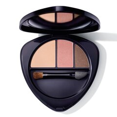 Тени для век Dr. Hauschka Eyeshadow Trio 04 Sunstone цена и информация | Тушь, средства для роста ресниц, тени для век, карандаши для глаз | pigu.lt