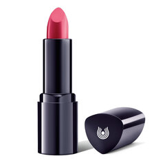 Lūpų dažai Dr. Hauschka Lipstick 4.1 g, 05 Fuchsia kaina ir informacija | Lūpų dažai, blizgiai, balzamai, vazelinai | pigu.lt