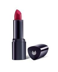 Lūpų dažai Dr. Hauschka Lipstick 4.1 g, 06 Azalea kaina ir informacija | Lūpų dažai, blizgiai, balzamai, vazelinai | pigu.lt