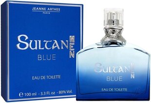 Туалетная вода для мужчин Jeanne Arthes Sultan Blue Men EDT 100 мл цена и информация | Мужские духи | pigu.lt