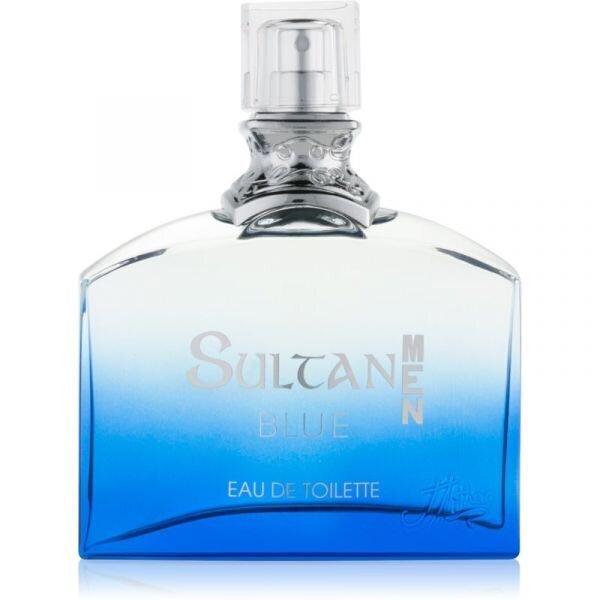 Tualetinis vanduo Jeanne Arthes Sultan Blue Men EDT vyrams 100 ml цена и информация | Kvepalai vyrams | pigu.lt