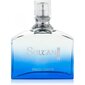 Tualetinis vanduo Jeanne Arthes Sultan Blue Men EDT vyrams 100 ml цена и информация | Kvepalai vyrams | pigu.lt