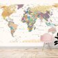 Fototapetai Detalus pasaulio žemėlapis цена и информация | Fototapetai | pigu.lt