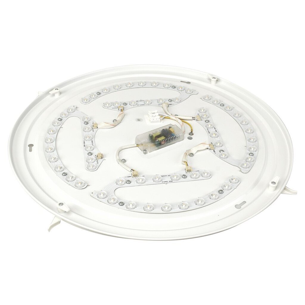 Milagro lubinis šviestuvas Siena LED kaina ir informacija | Lubiniai šviestuvai | pigu.lt